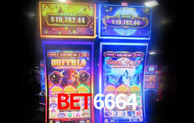 bet6664