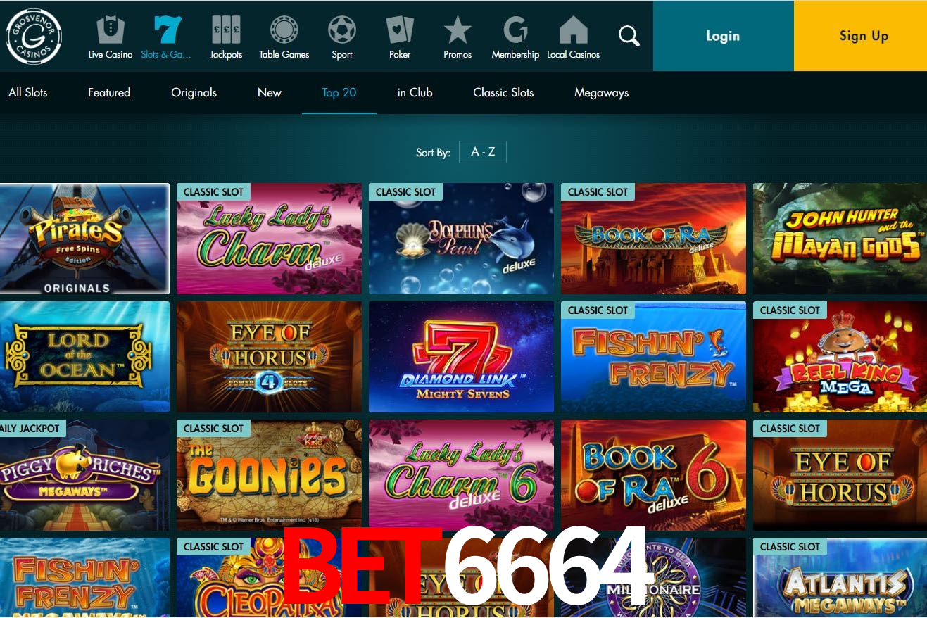 bet6664: A Experiência de Casino com Jogos de Mesa ao Vivo